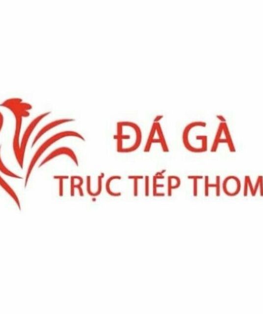 avatar Đá Gà Trực Tiếp