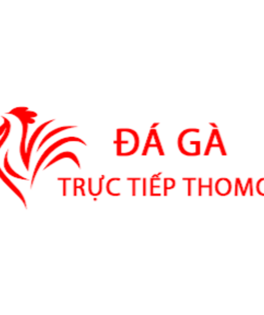 avatar Đá Gà Trực Tiếp Thomo Hôm Nay