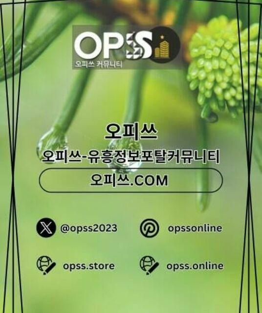 avatar 연신내오피 오피쓰.COM 연신내OP