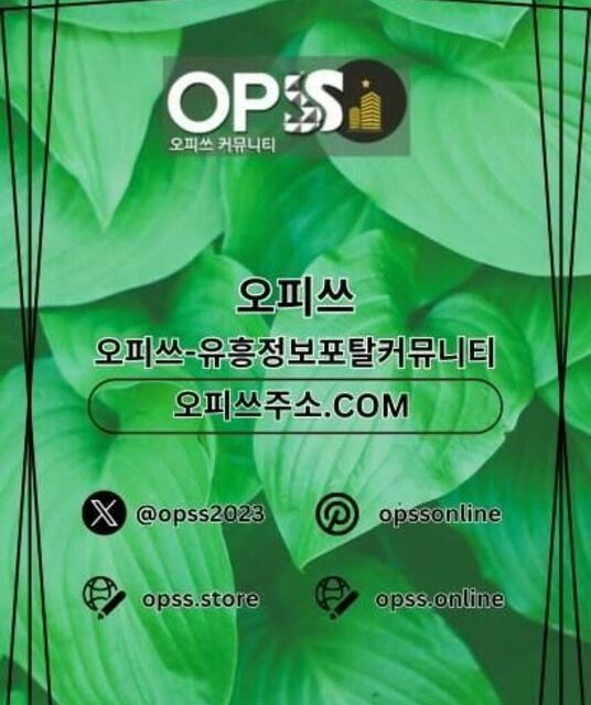 avatar 목포오피 오피쓰주소.COM 목포OP