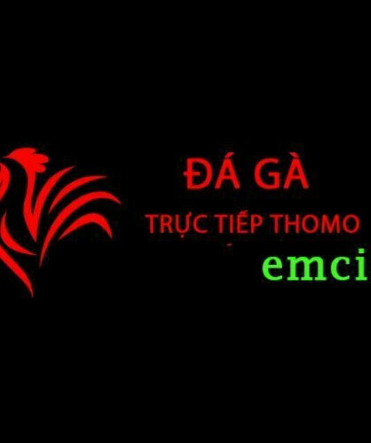 avatar Đá Gà Trực Tiếp Thomo Hôm Nay