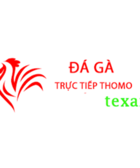 avatar Đá Gà Trực Tiếp Thomo Hôm Nay