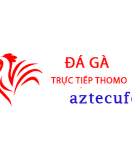 avatar Đá Gà Trực Tiếp Thomo Hôm Nay