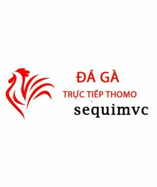 avatar Đá Gà Trực Tiếp Thomo Hôm Nay