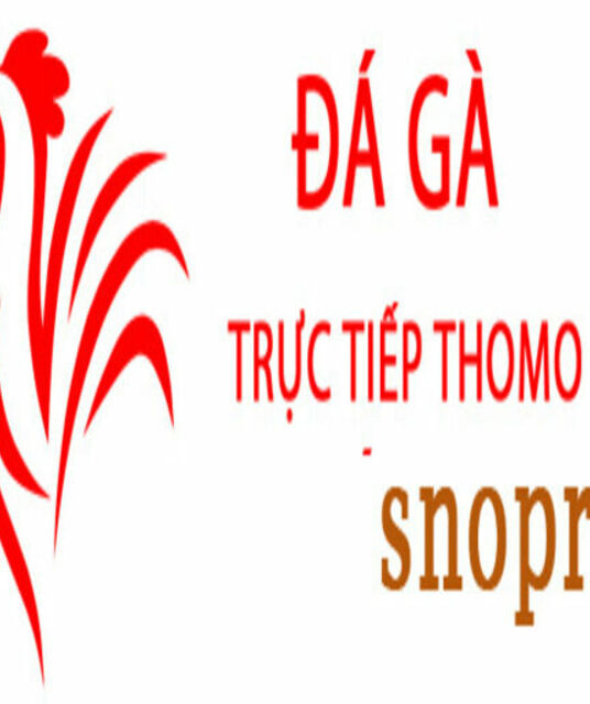 avatar Đá Gà Trực Tiếp Thomo Hôm Nay