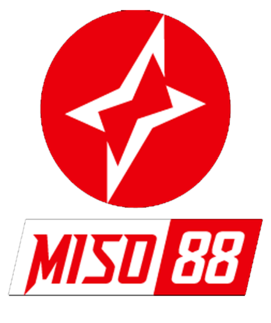 avatar   Miso88                                                          