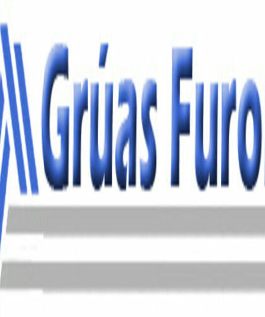 avatar Gruas Furor