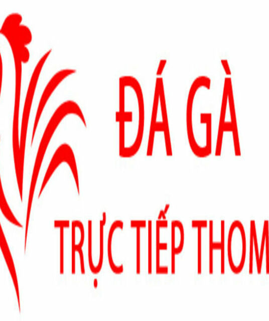 avatar Đá Gà Trực Tiếp Thomo Hôm Nay