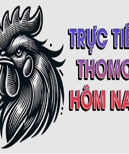 avatar THOMOHOMNAY - ĐÁ GÀ THOMO TRỰC TIẾP HÔM NAY