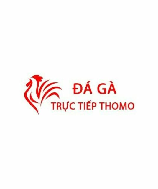 avatar Đá Gà Trực Tiếp Thomo Hôm Nay