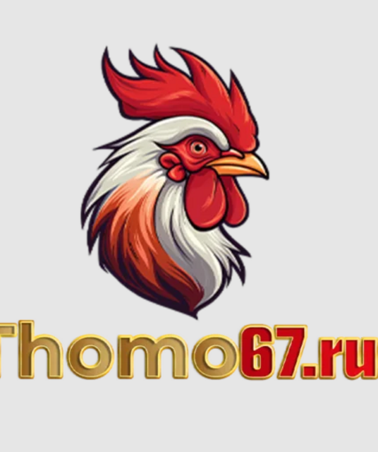 avatar THOMO67 